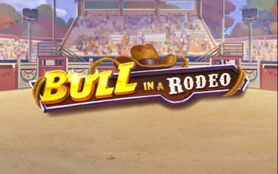 Bull in rodeo
